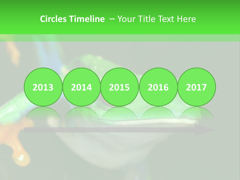 Tropical Macro Rainforest PowerPoint Template