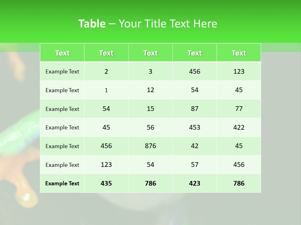 Tropical Macro Rainforest PowerPoint Template