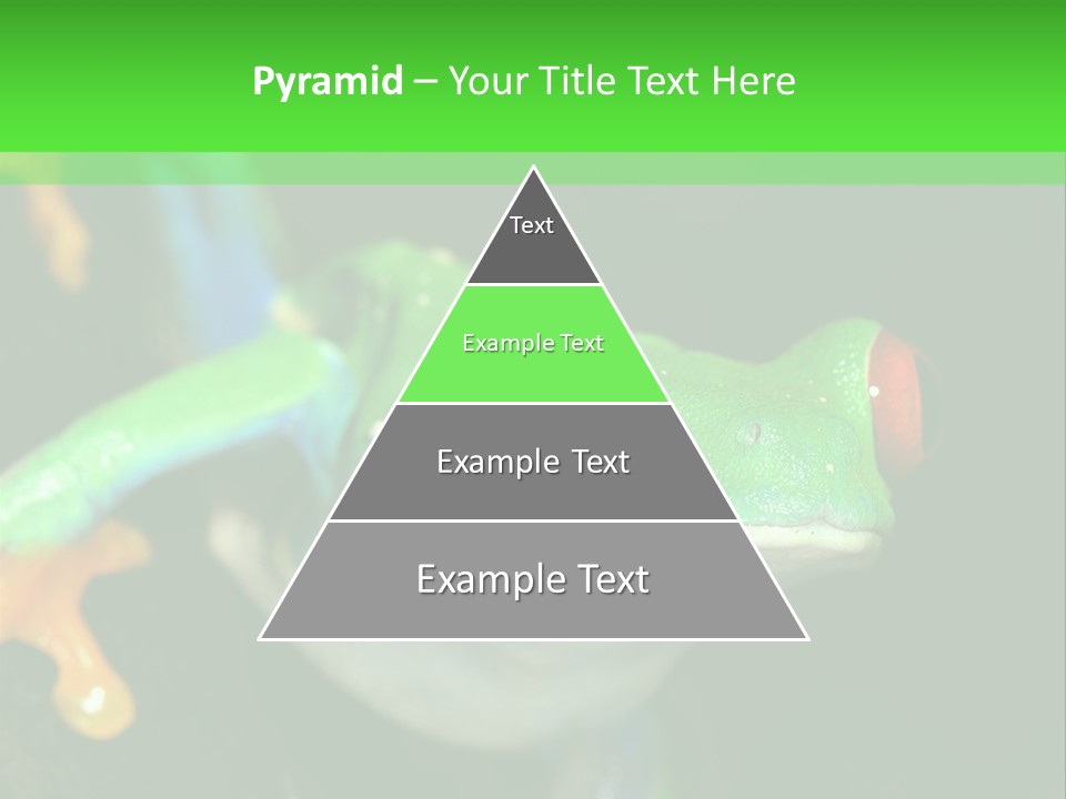 Tropical Macro Rainforest PowerPoint Template