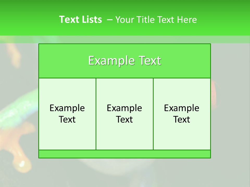 Tropical Macro Rainforest PowerPoint Template