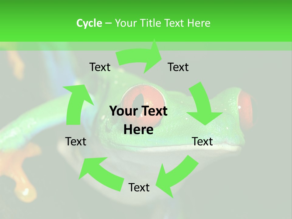 Tropical Macro Rainforest PowerPoint Template