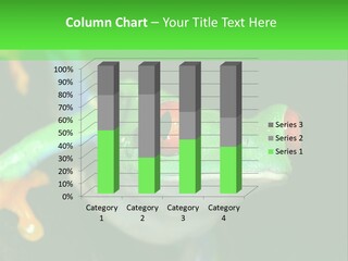 Tropical Macro Rainforest PowerPoint Template