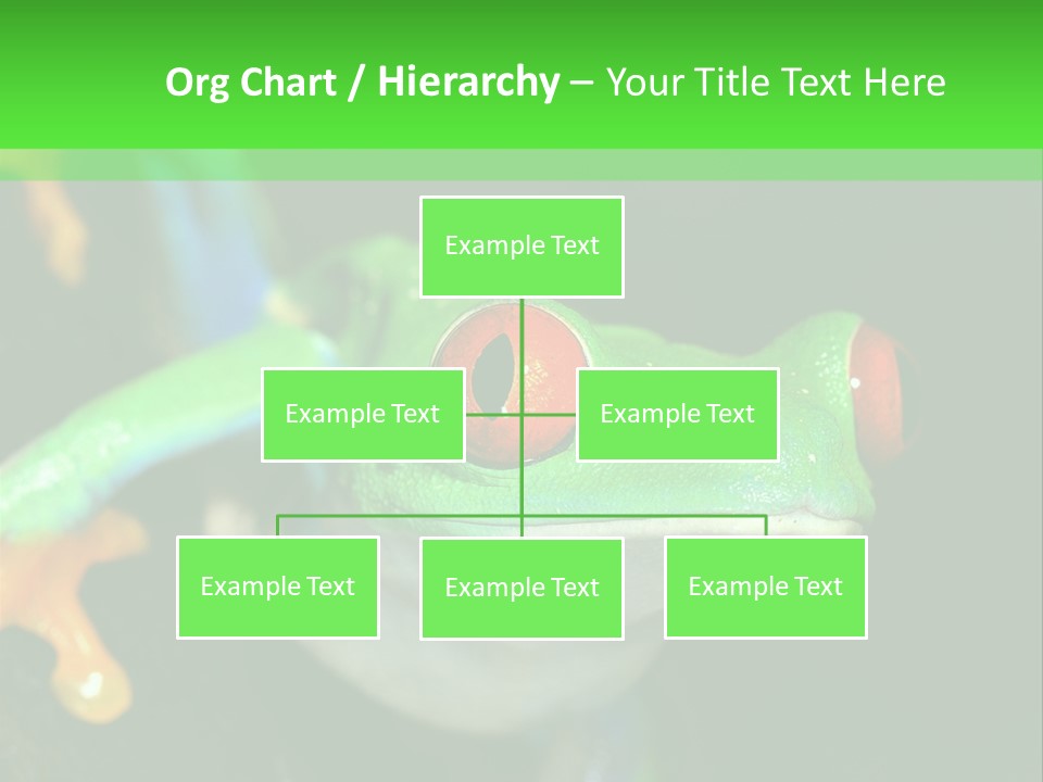 Tropical Macro Rainforest PowerPoint Template