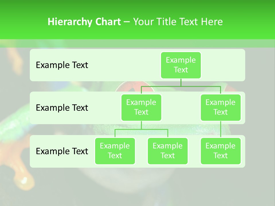 Tropical Macro Rainforest PowerPoint Template