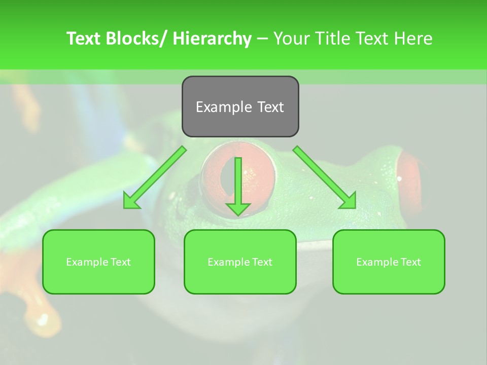 Tropical Macro Rainforest PowerPoint Template