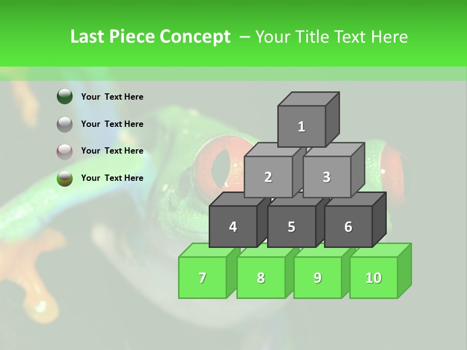 Tropical Macro Rainforest PowerPoint Template