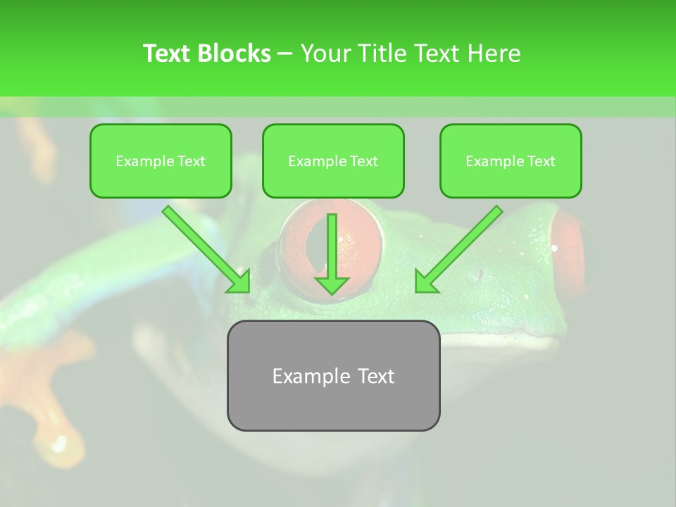 Tropical Macro Rainforest PowerPoint Template