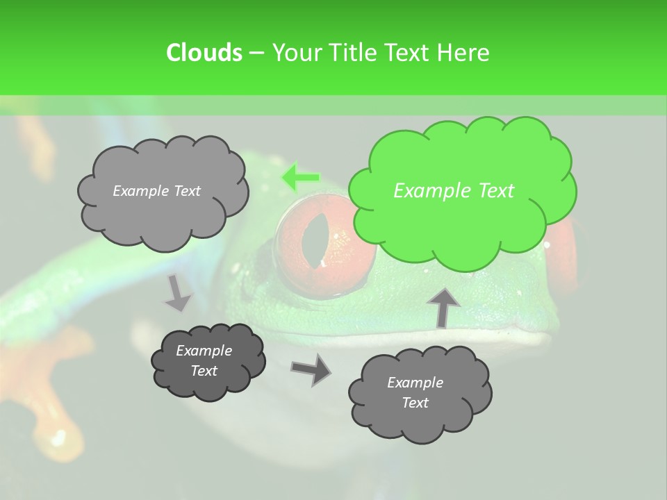 Tropical Macro Rainforest PowerPoint Template