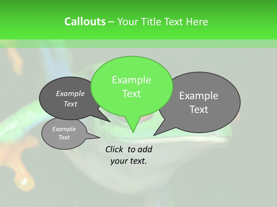 Tropical Macro Rainforest PowerPoint Template