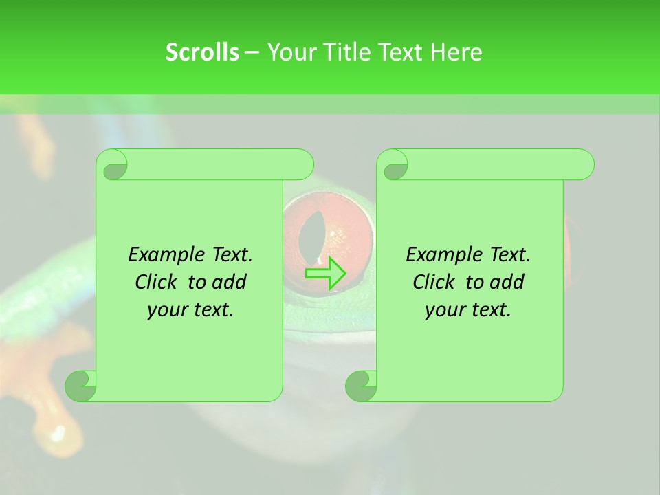 Tropical Macro Rainforest PowerPoint Template