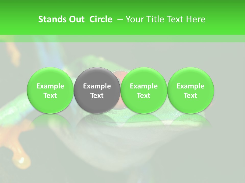 Tropical Macro Rainforest PowerPoint Template