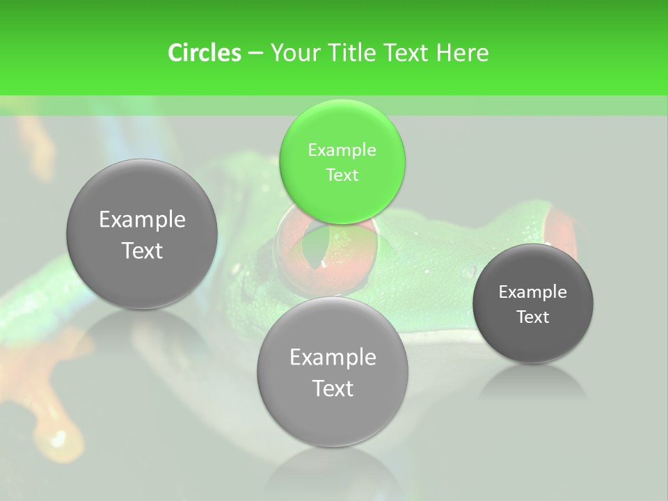 Tropical Macro Rainforest PowerPoint Template