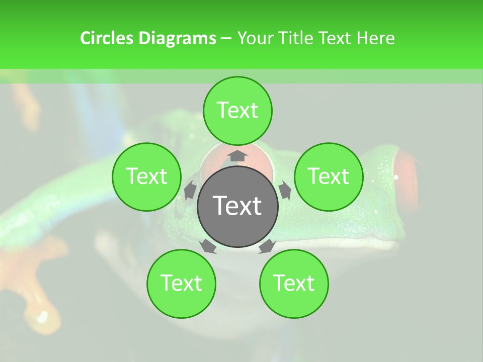 Tropical Macro Rainforest PowerPoint Template