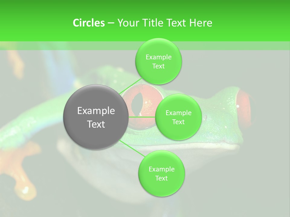 Tropical Macro Rainforest PowerPoint Template