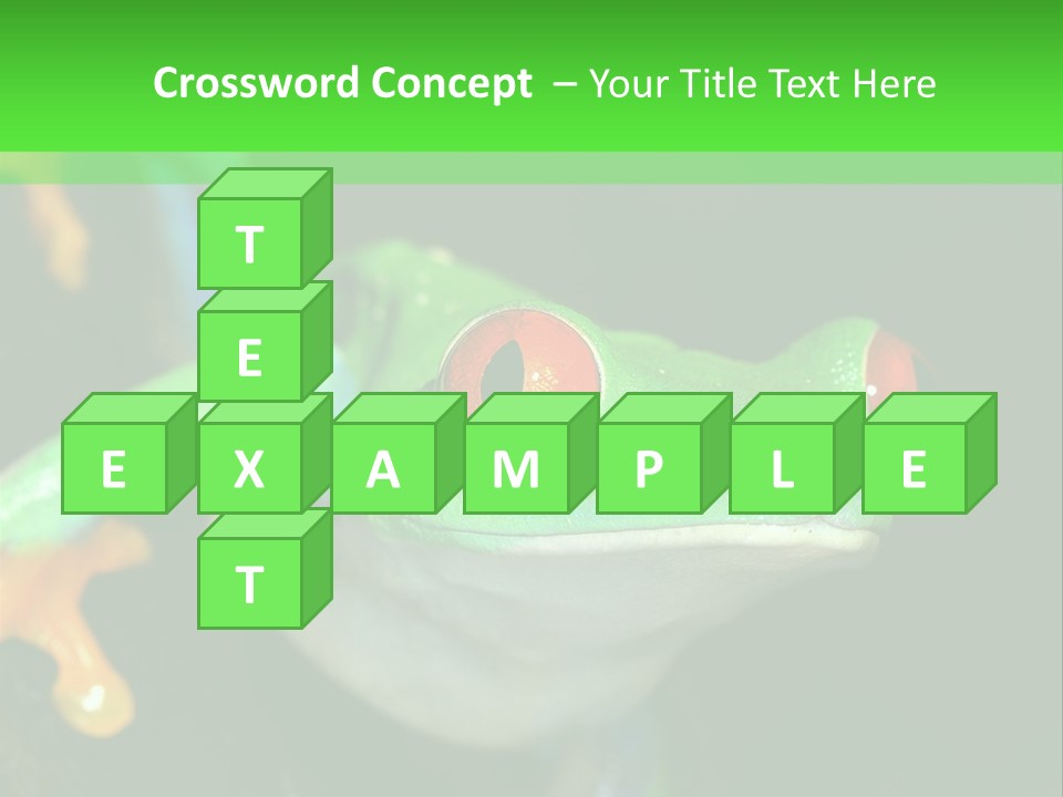 Tropical Macro Rainforest PowerPoint Template