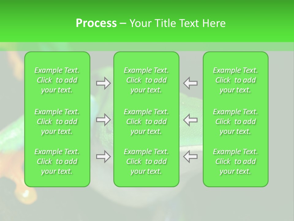 Tropical Macro Rainforest PowerPoint Template