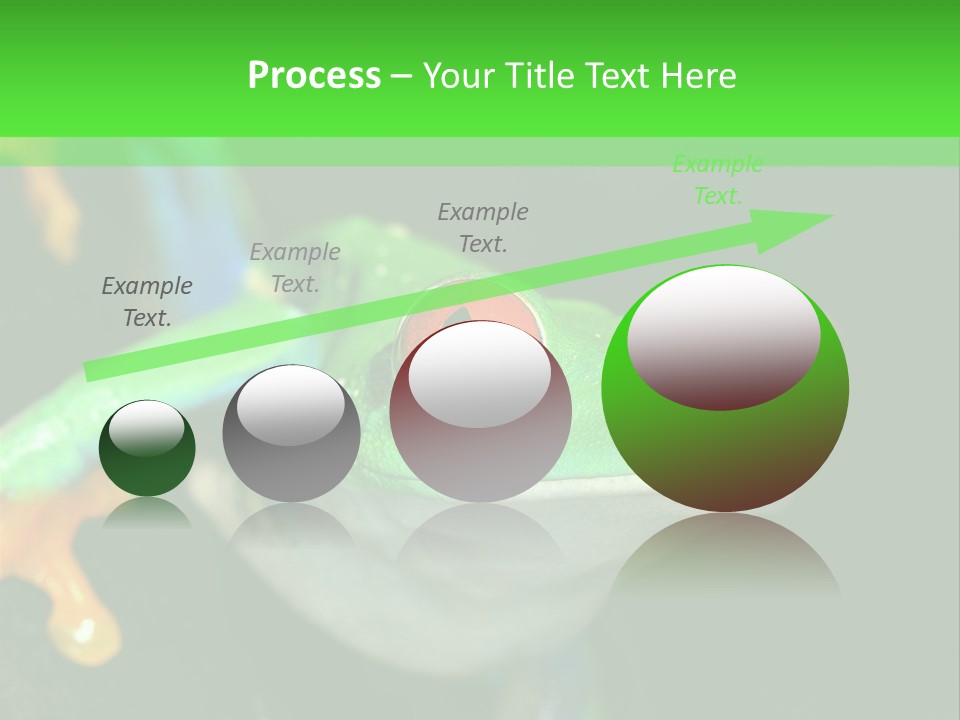 Tropical Macro Rainforest PowerPoint Template