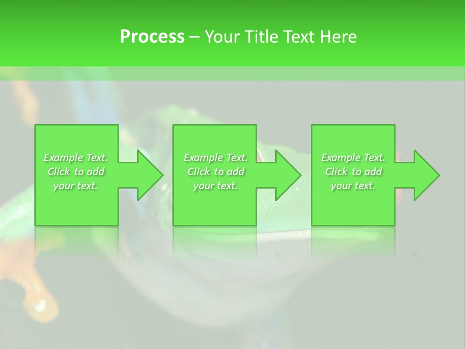 Tropical Macro Rainforest PowerPoint Template