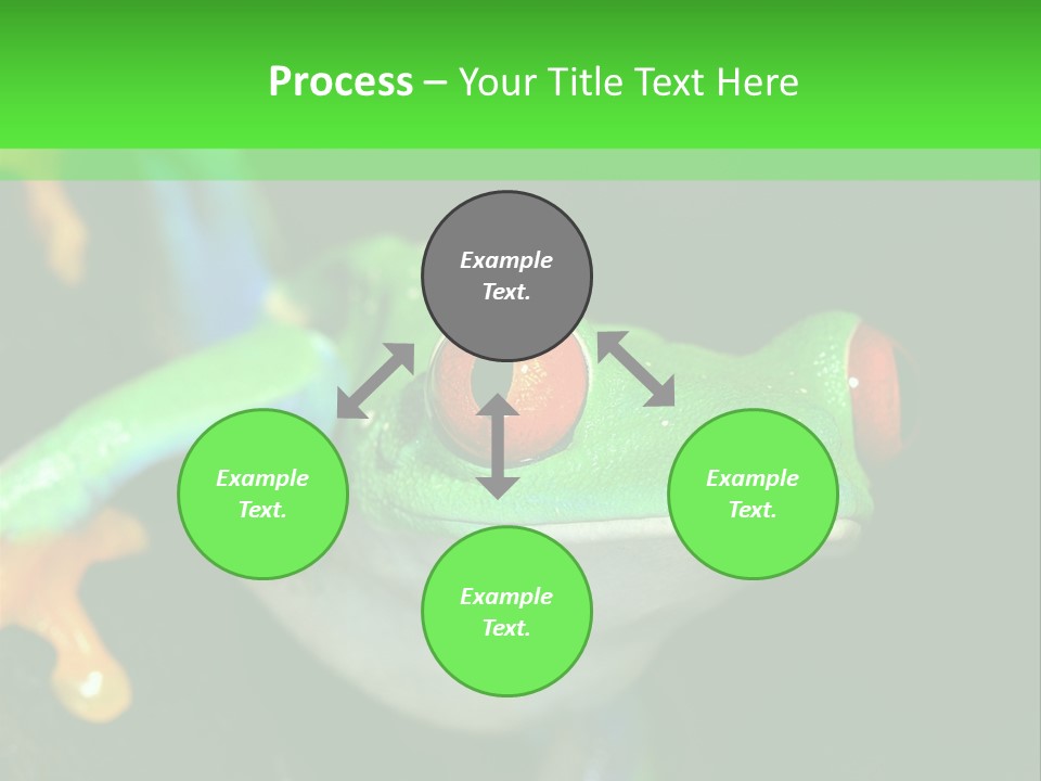 Tropical Macro Rainforest PowerPoint Template