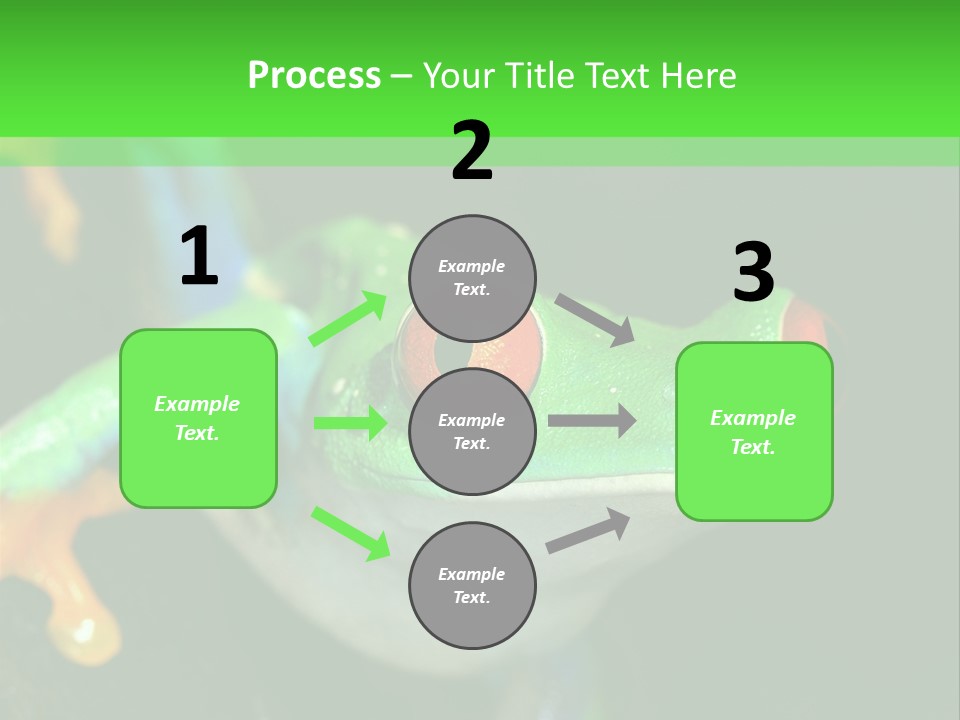 Tropical Macro Rainforest PowerPoint Template