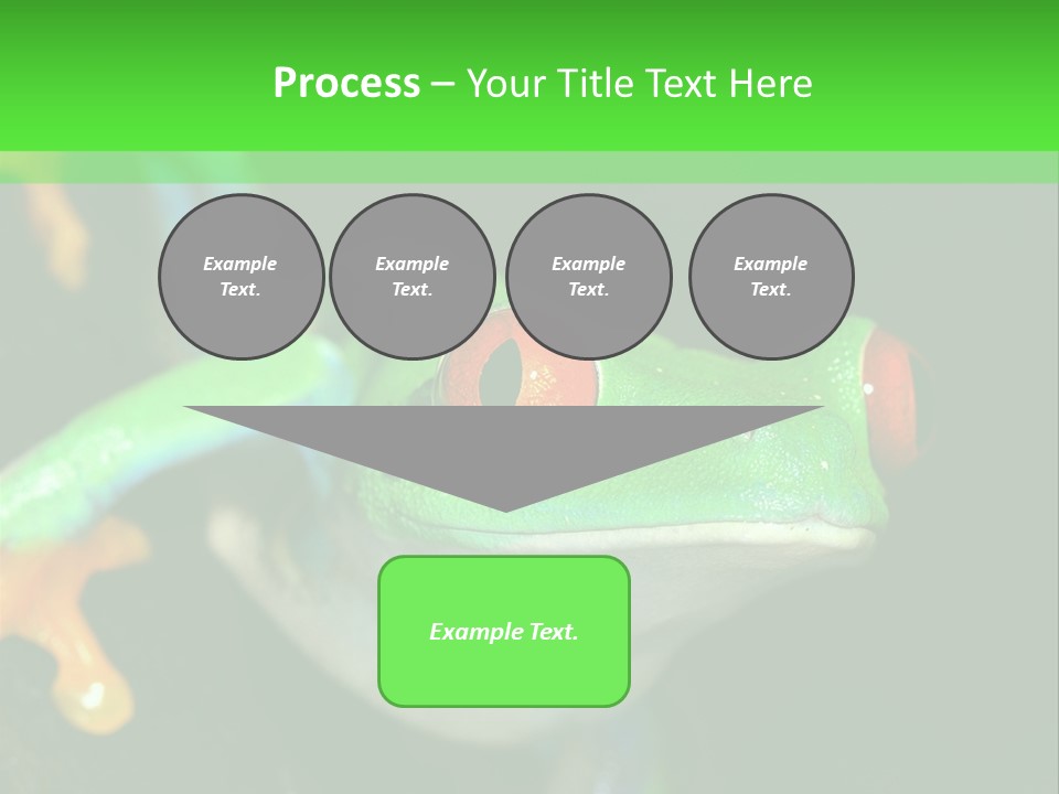 Tropical Macro Rainforest PowerPoint Template