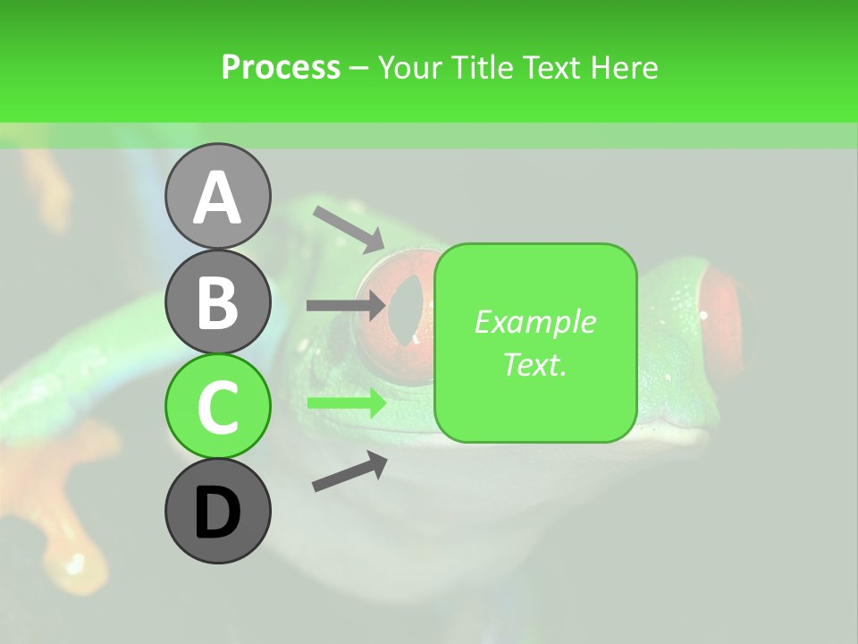 Tropical Macro Rainforest PowerPoint Template