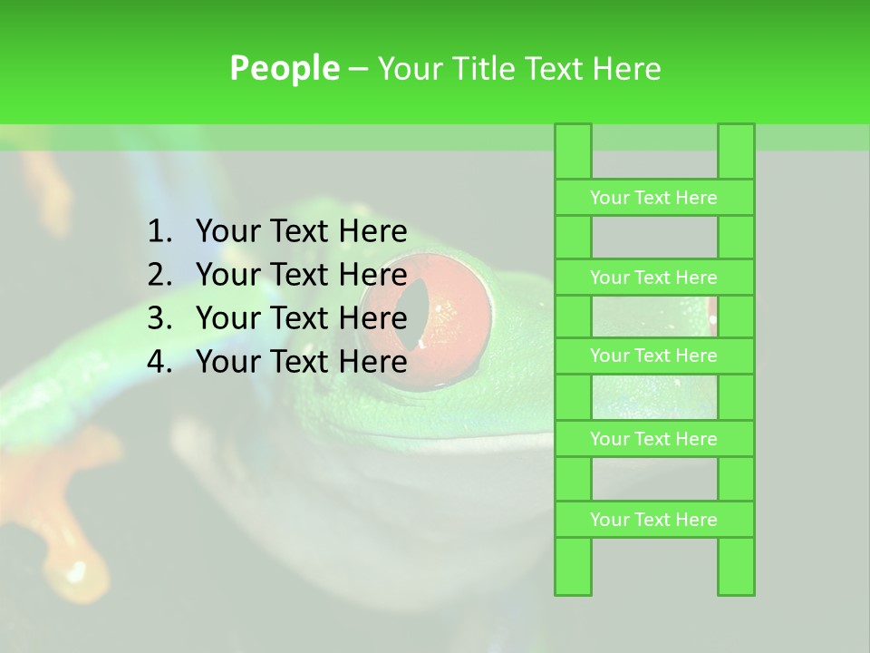 Tropical Macro Rainforest PowerPoint Template