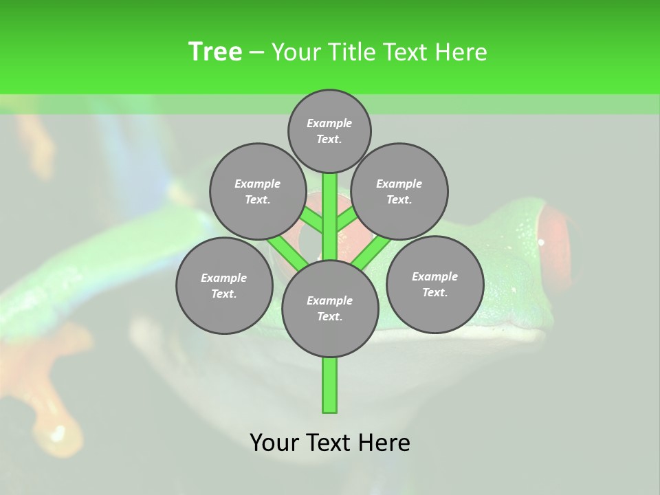 Tropical Macro Rainforest PowerPoint Template