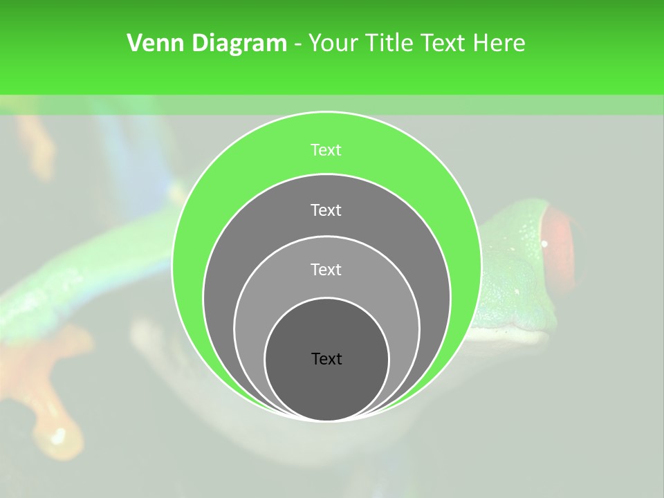 Tropical Macro Rainforest PowerPoint Template