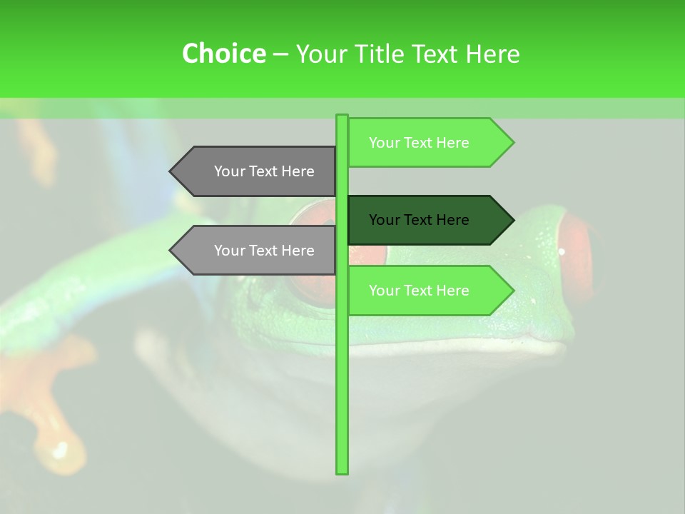 Tropical Macro Rainforest PowerPoint Template