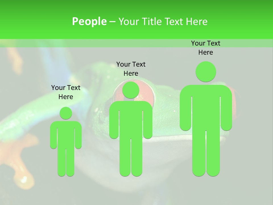 Tropical Macro Rainforest PowerPoint Template