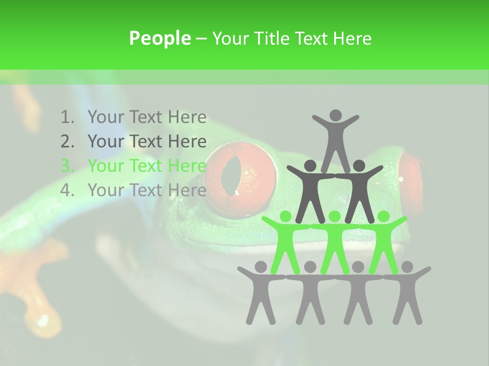 Tropical Macro Rainforest PowerPoint Template