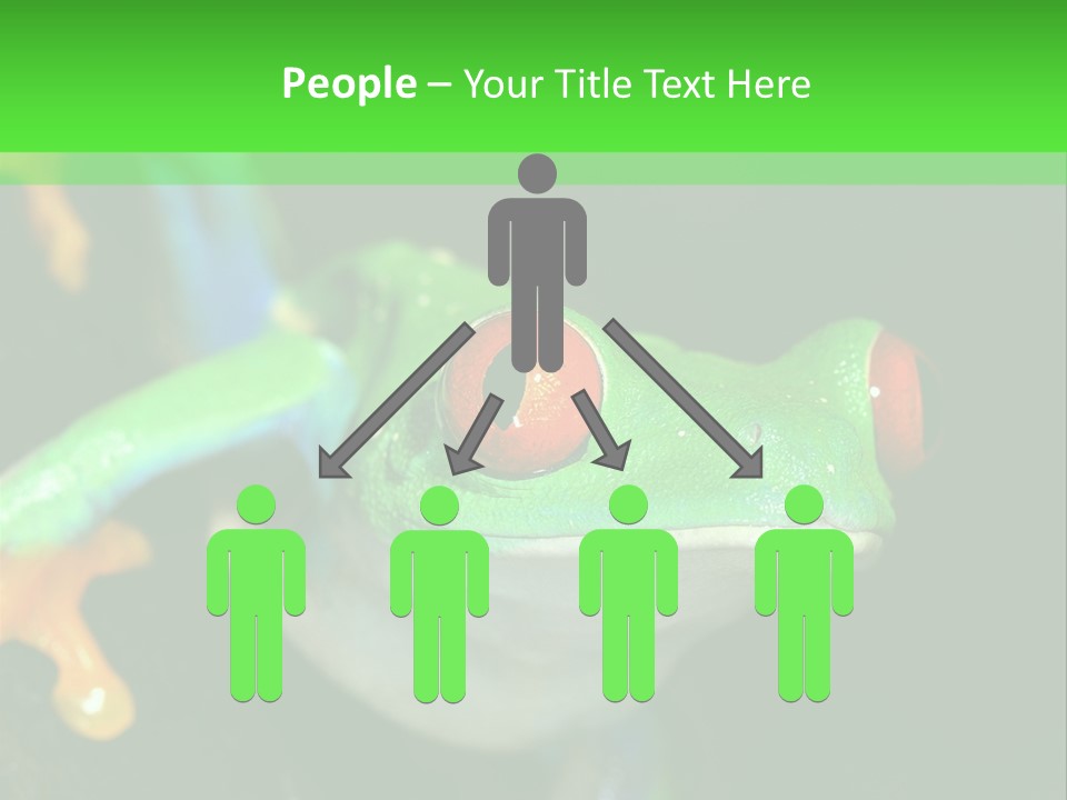 Tropical Macro Rainforest PowerPoint Template