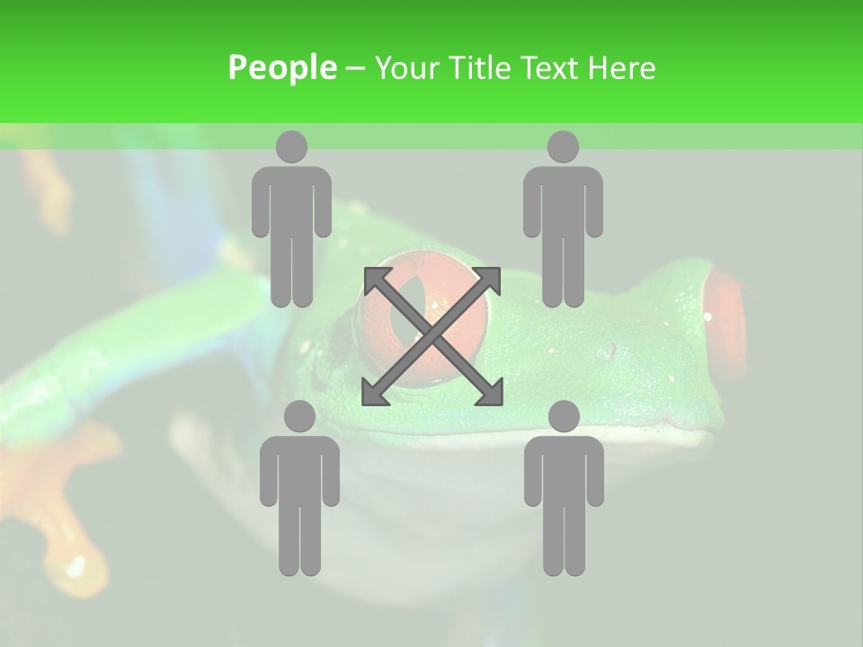 Tropical Macro Rainforest PowerPoint Template