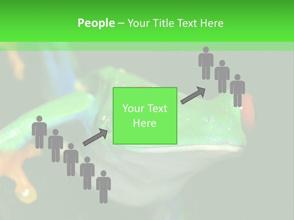 Tropical Macro Rainforest PowerPoint Template