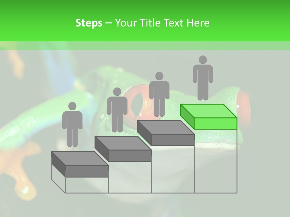 Tropical Macro Rainforest PowerPoint Template