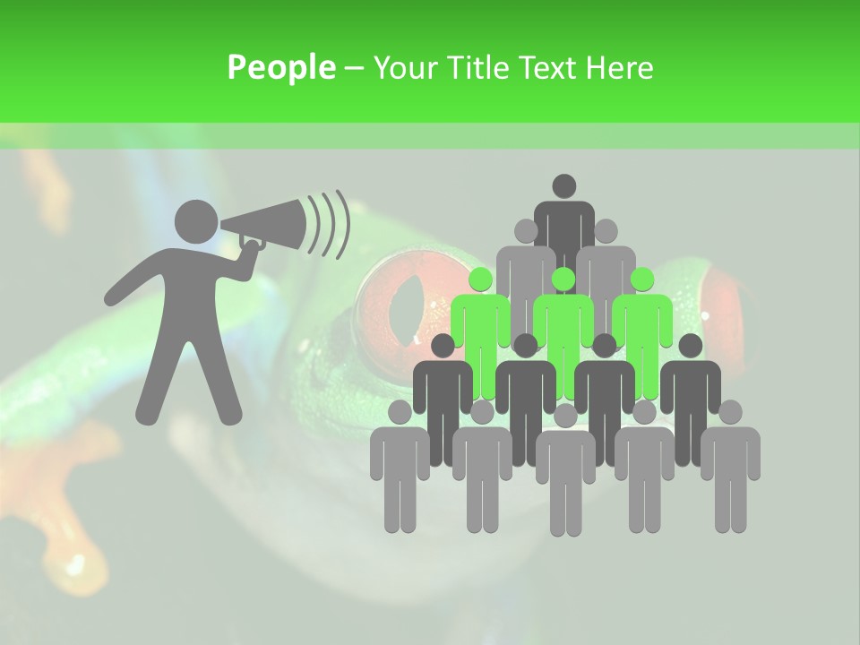 Tropical Macro Rainforest PowerPoint Template