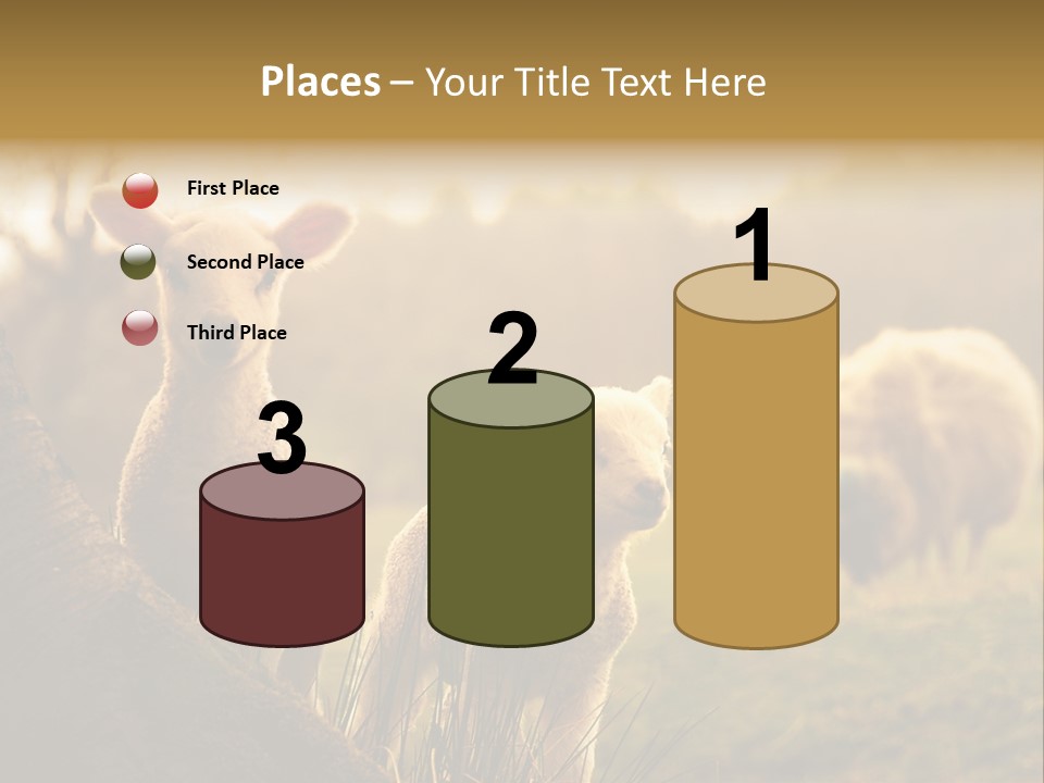 Farm Spring Lambs PowerPoint Template