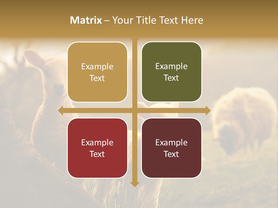 Farm Spring Lambs PowerPoint Template