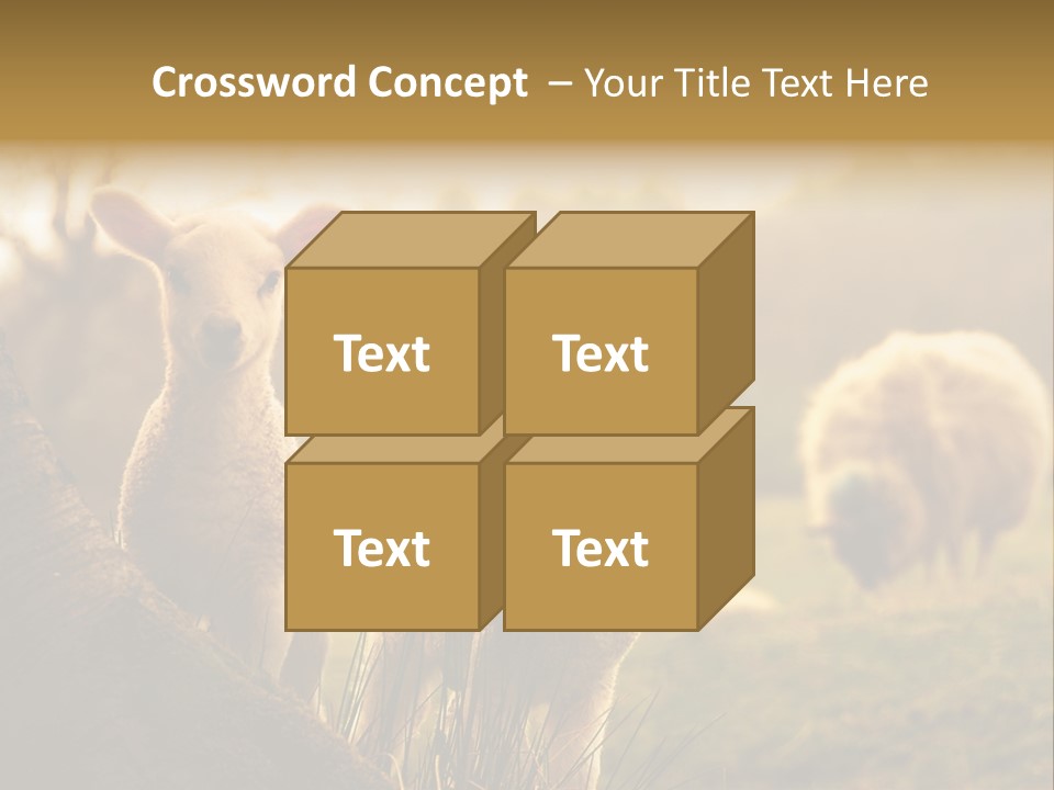 Farm Spring Lambs PowerPoint Template