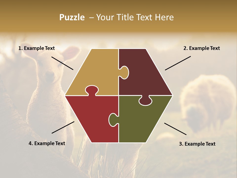 Farm Spring Lambs PowerPoint Template