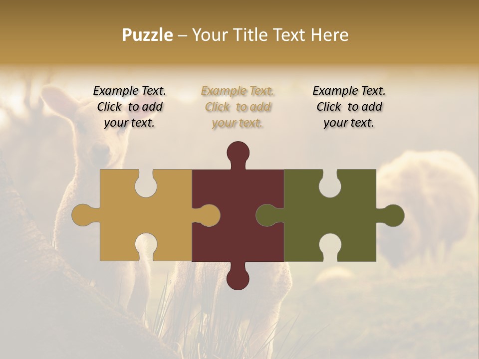 Farm Spring Lambs PowerPoint Template