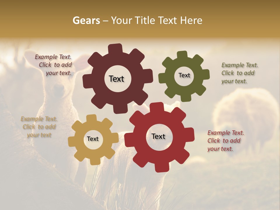 Farm Spring Lambs PowerPoint Template