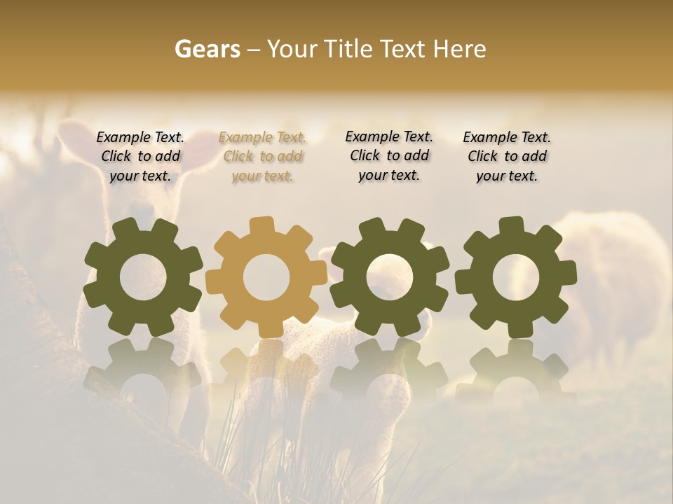 Farm Spring Lambs PowerPoint Template