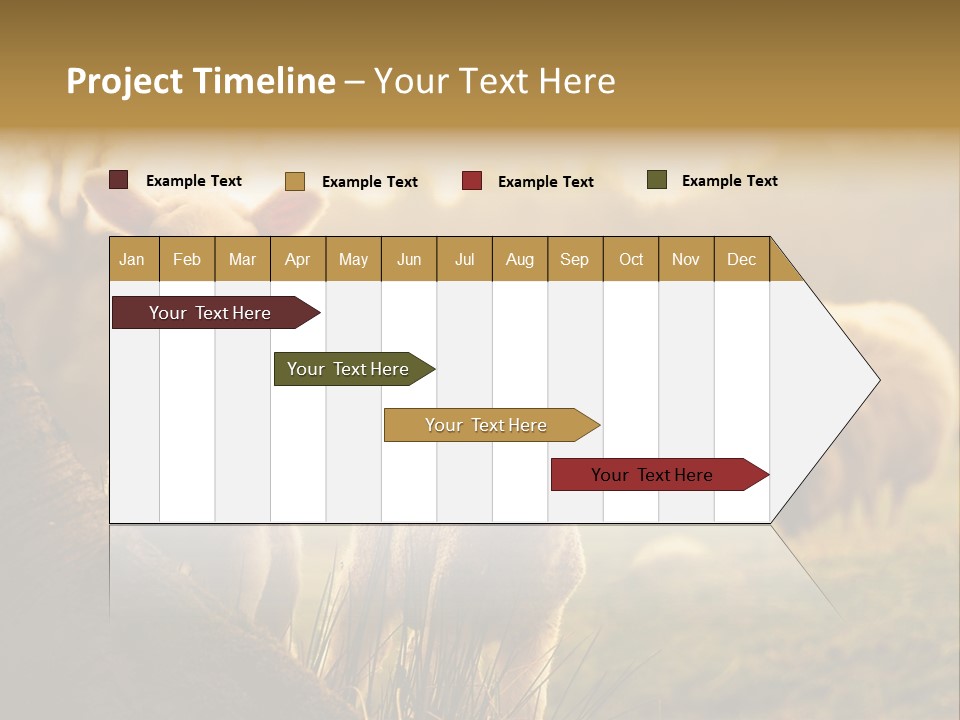 Farm Spring Lambs PowerPoint Template