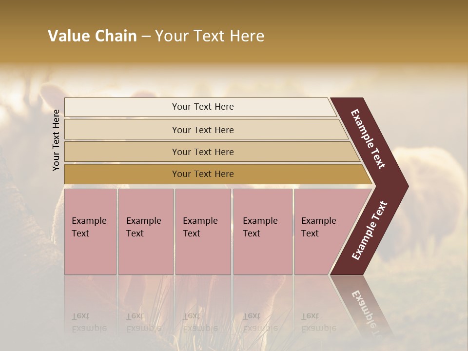 Farm Spring Lambs PowerPoint Template