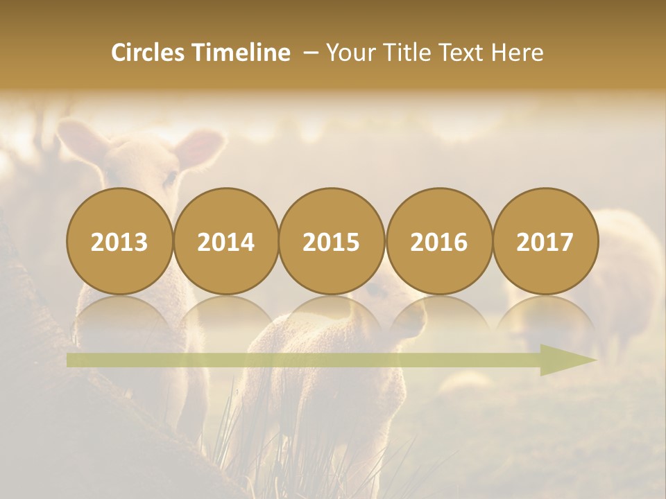 Farm Spring Lambs PowerPoint Template