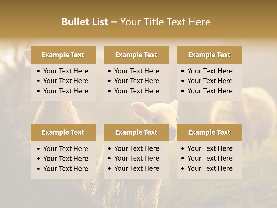 Farm Spring Lambs PowerPoint Template