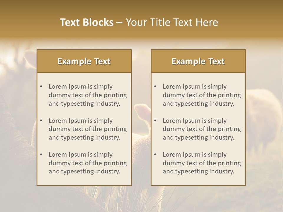 Farm Spring Lambs PowerPoint Template