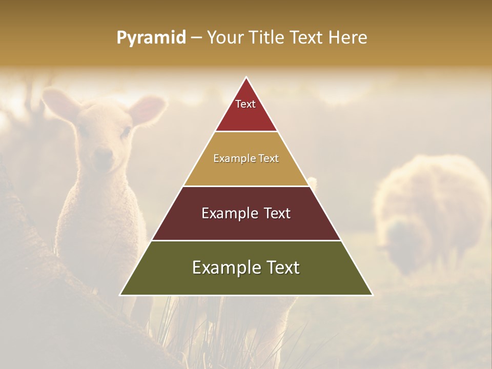 Farm Spring Lambs PowerPoint Template